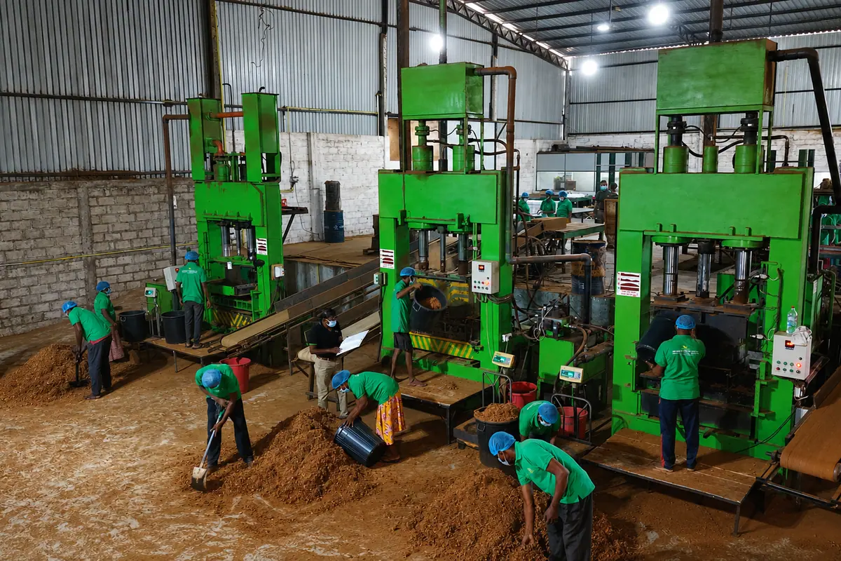 Operators working alongside hydraulic coco peat compression presses inside the Go Green Exports production hall